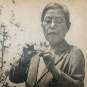 Yasui Kono