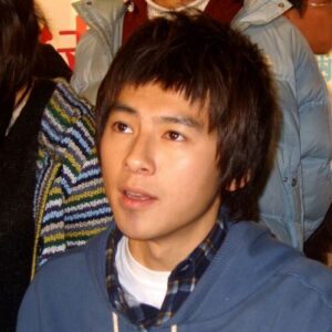 Lego Lee