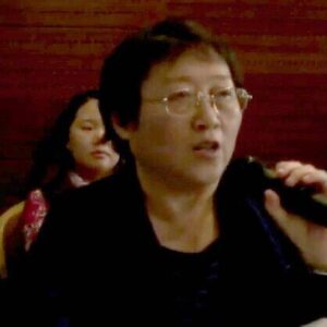 Li Yinhe