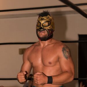 Lince Dorado