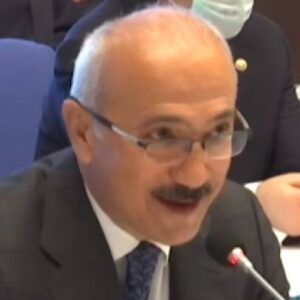 Lütfi Elvan