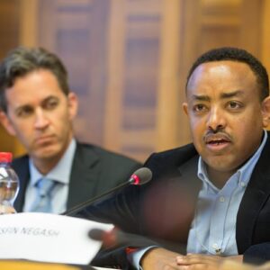 Mesfin Woldemariam