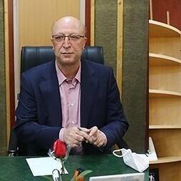Mohammad Ali Zolfigol