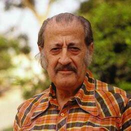 Moshe Castel