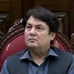Muhammad Ali Khan Saif