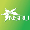Nakhon Sawan Rajabhat University Logo