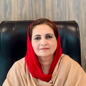 Nausheen Hamid