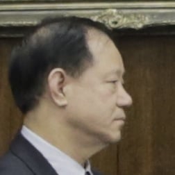 Pan Ligang