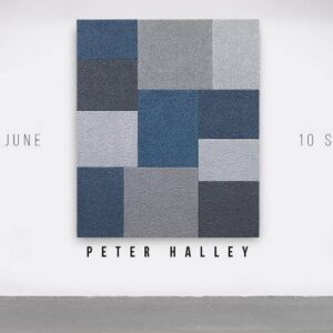 Peter Halley