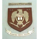 Preston University Logo