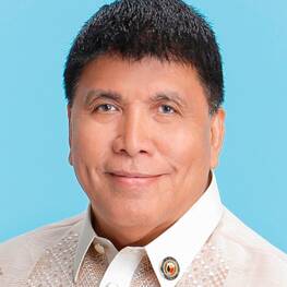 Prospero Pichay, Jr