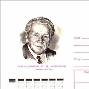 Pyotr Anokhin