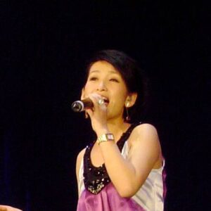 Qin Hailu