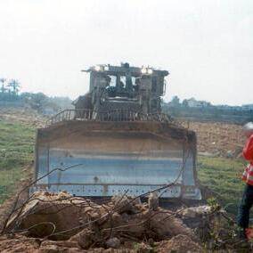 Rachel Corrie