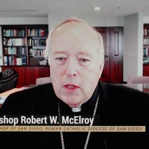 Robert W. McElroy