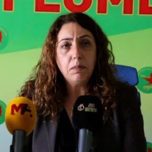 Salihe Aydeniz