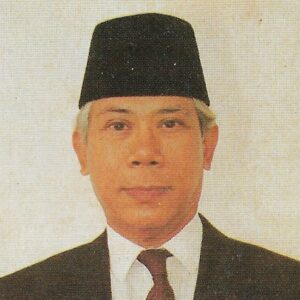 Satrio Budihardjo Joedono