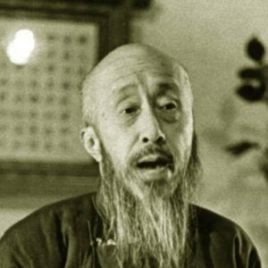 Shen Junru