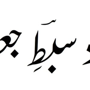 Ustad Sibte Jaffar Zaidi