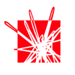 Solent University Logo