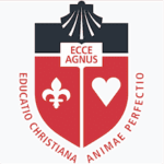 St John’s University – New York Logo