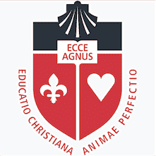 St John’s University – New York logo