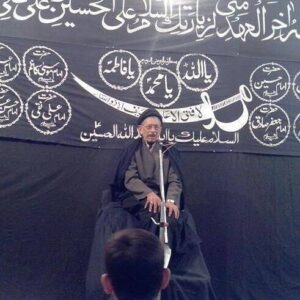 Syed Hamidul Hasan