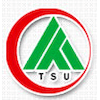 Taishan University Logo