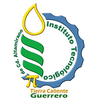 Technological Institute of Ciudad Altamirano Logo