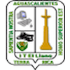 Technological Institute of Llano Aguascalientes Logo