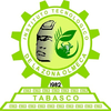 Technological Institute of the Olmec region Logo