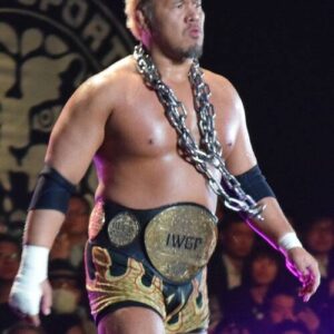 Togi Makabe