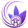University of Technology & Management Logo