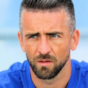 Vedad Ibišević