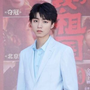 Wang Junkai