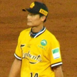Wang Seng-wei