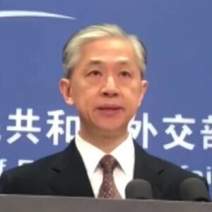 Wang Wenbin