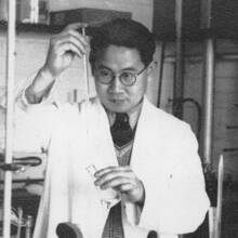 Wang Yinglai
