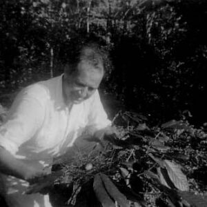 Wilbur Downs