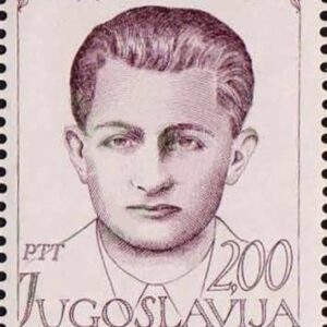Žarko Zrenjanin